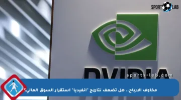 مخاوف الأرباح.. هل تضعف نتائج “إنفيديا” استقرار السوق المالي؟